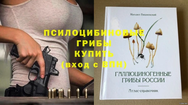 Альфа ПВП Балахна
