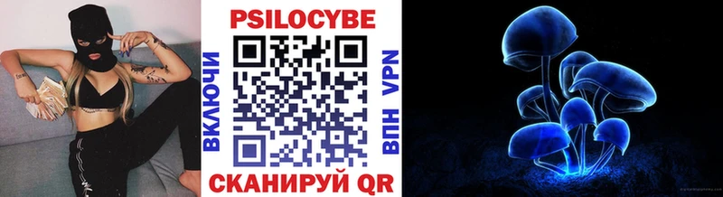 Псилоцибиновые грибы прущие грибы  где купить   Спасск-Дальний 