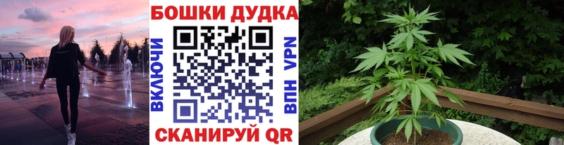 Каннабис семена  Спасск-Дальний 